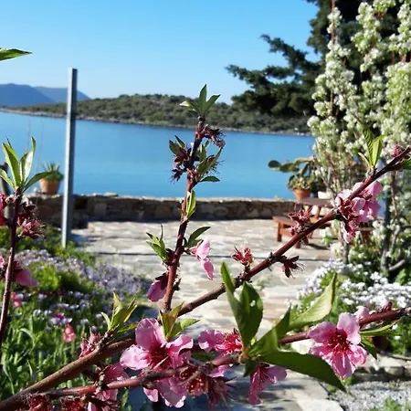 Blueline Апартаменты Agios Dimitrios (Evia)