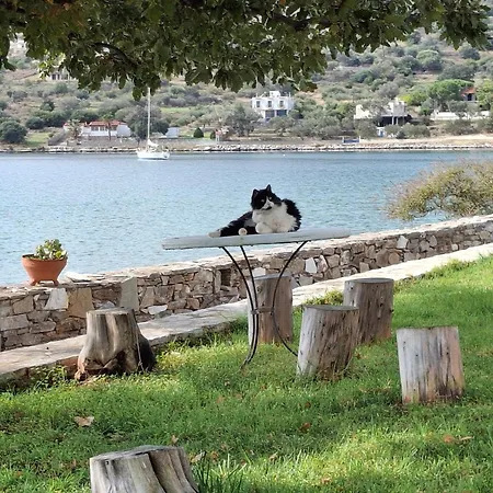 Blueline Agios Dimitrios (Evia)