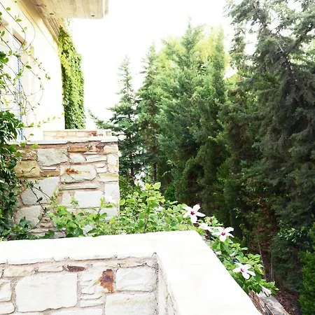 Blueline Apartment Agios Dimitrios (Evia)
