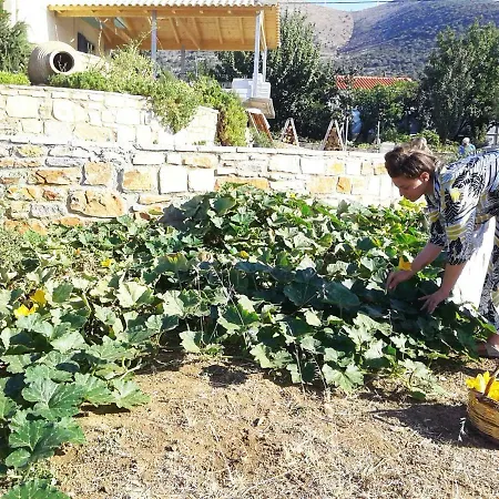 Appartement Blueline